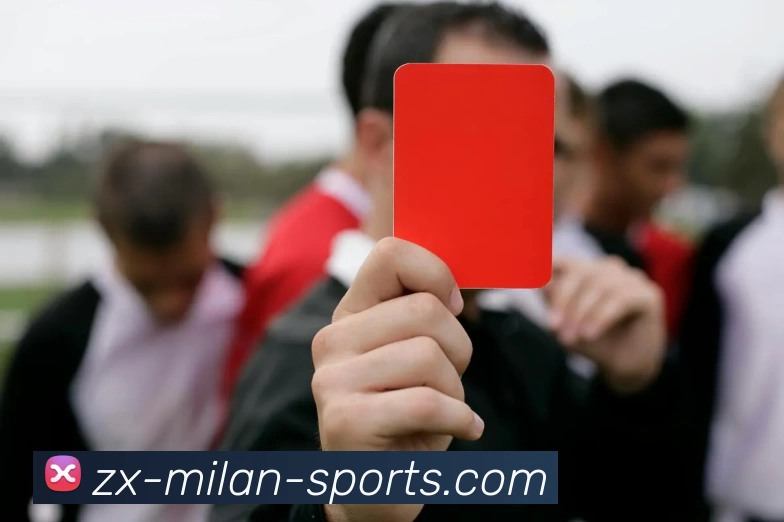 米兰体育入口APP 封面图